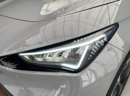 Cupra - Born