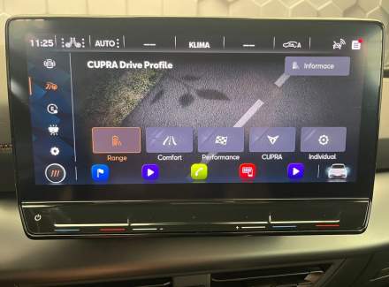 Cupra - Born