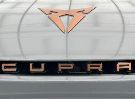 Cupra - Born