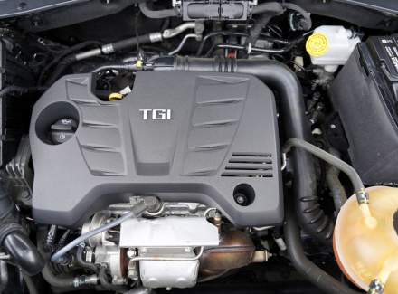 MG