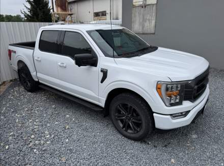 Ford - F-150