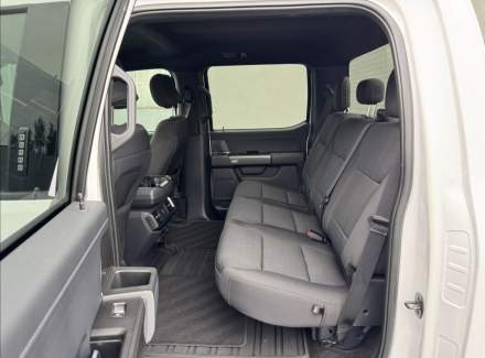 Ford - F-150