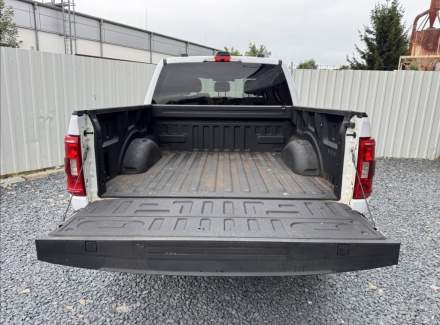 Ford - F-150