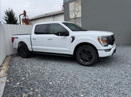 Ford - F-150