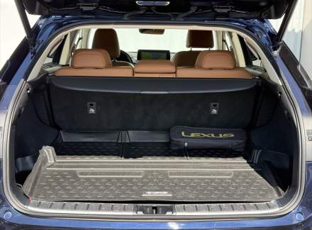 Lexus - RX