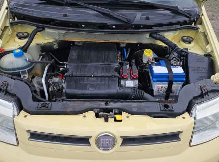 Fiat - Panda