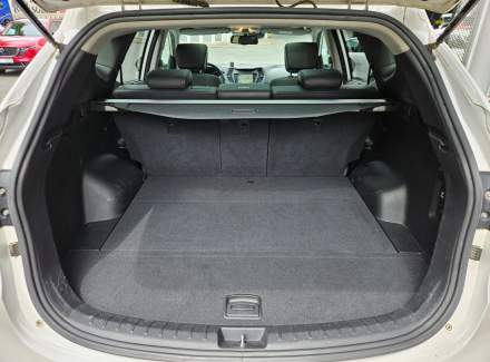 Hyundai - Santa FE