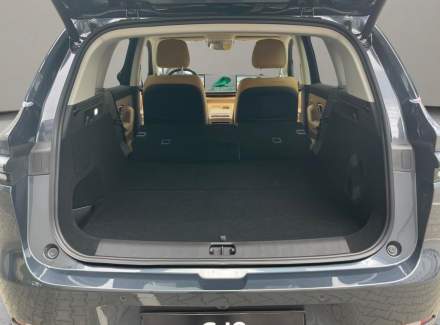 Leapmotor - C10