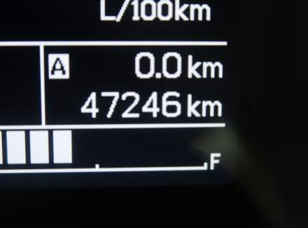 Suzuki - Ignis