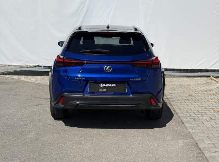 Lexus - UX