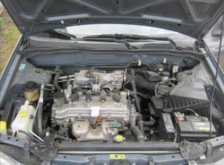 Nissan - Almera