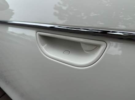 Fiat - 500