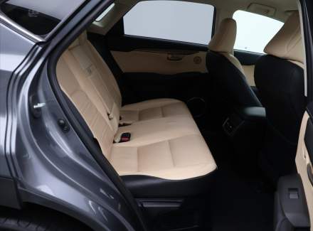 Lexus - NX
