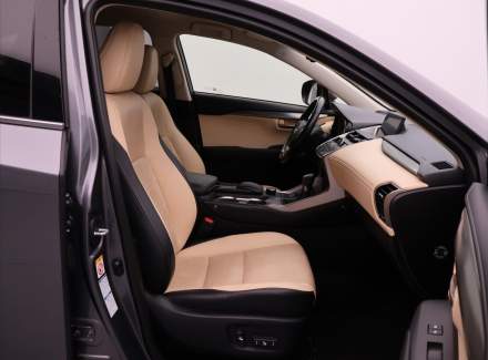Lexus - NX
