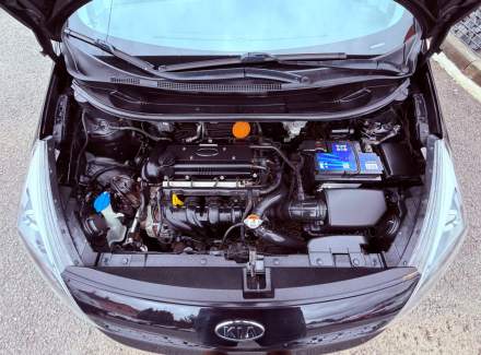 Kia - Rio
