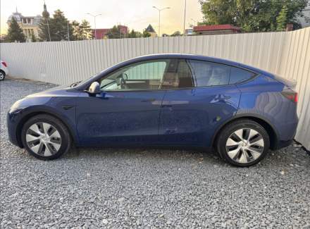 Tesla - Model Y