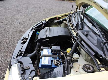 Fiat - Panda