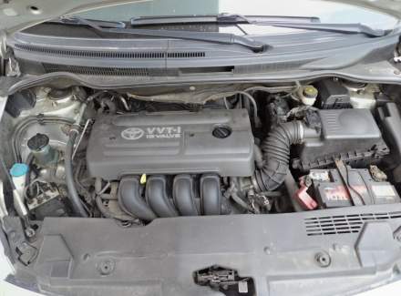 Toyota - Corolla Verso