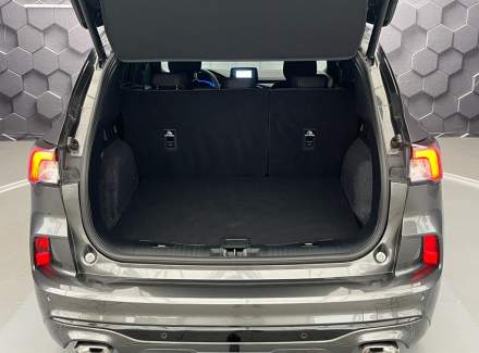 Ford - Kuga