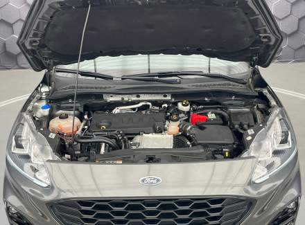 Ford - Kuga
