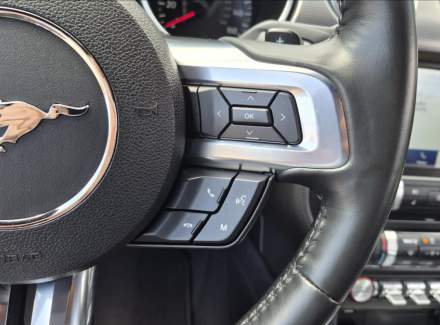 Ford - Mustang