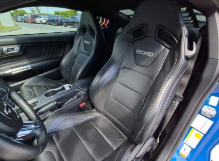 Ford - Mustang
