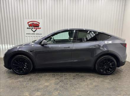 Tesla - Model Y