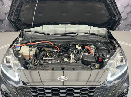Ford - Kuga