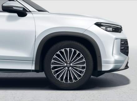 Volkswagen - Tayron