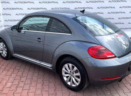 Volkswagen - Beetle
