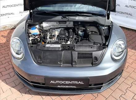 Volkswagen - Beetle