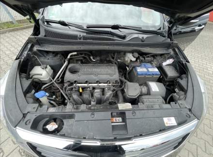 Kia - Sportage