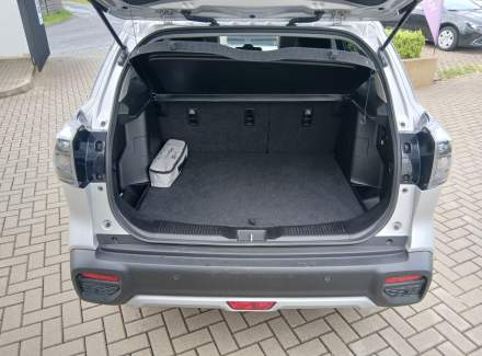 Suzuki - SX4