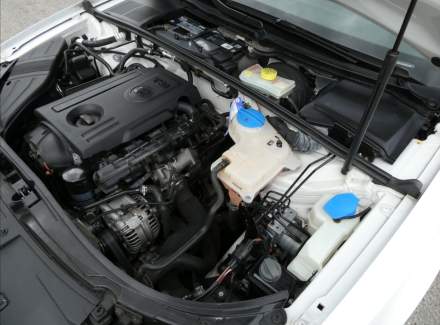 Seat - Exeo