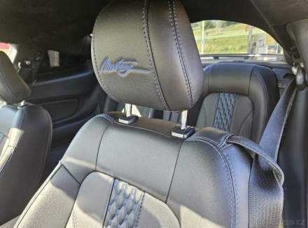 Ford - Mustang