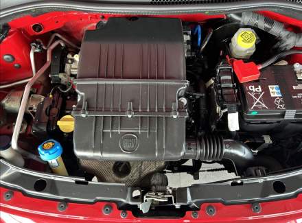 Fiat - 500