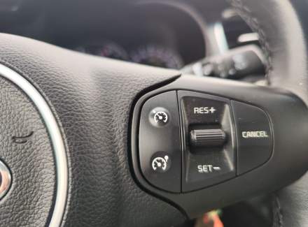 Kia - Carens