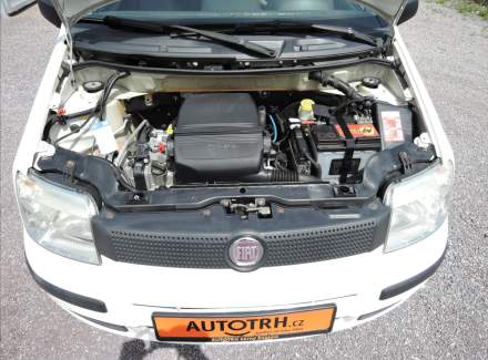 Fiat - Panda
