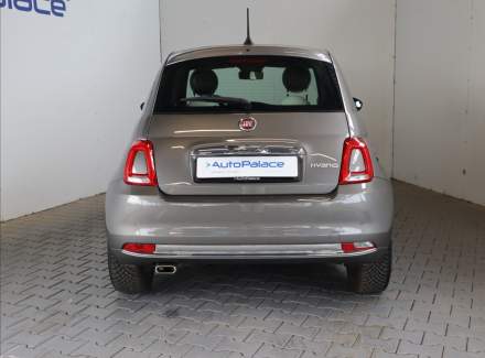 Fiat - 500