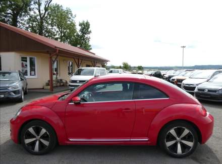 Volkswagen - Beetle