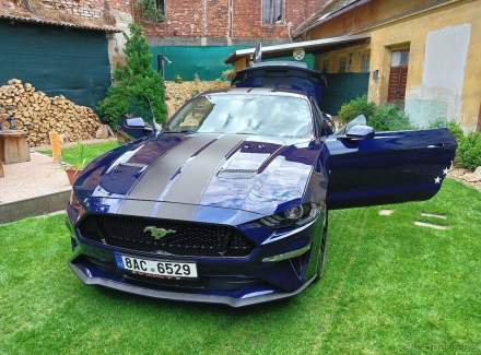 Ford - Mustang
