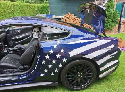 Ford - Mustang