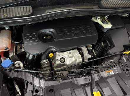 Ford - C-MAX