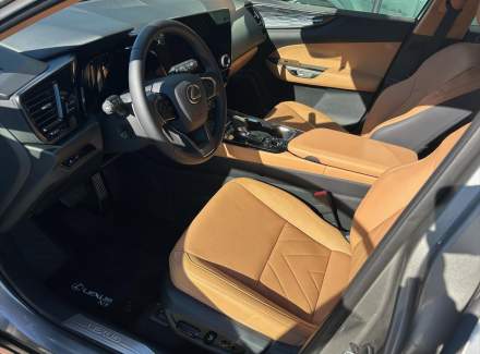 Lexus - NX