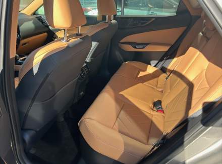 Lexus - NX