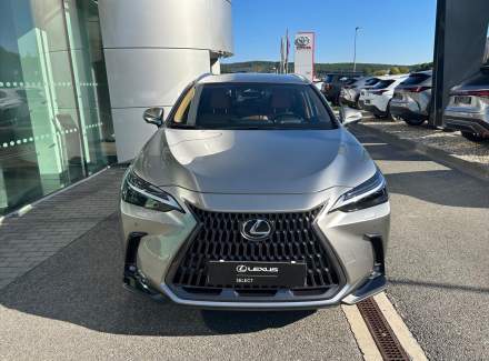 Lexus - NX