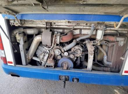 Iveco - Daily