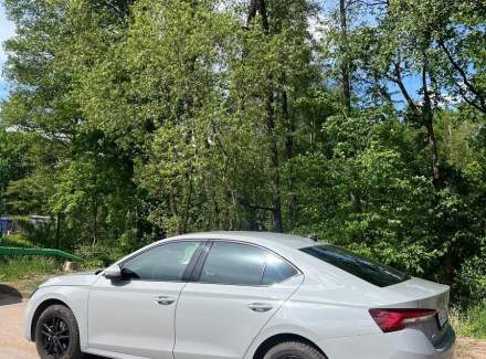 Škoda - Octavia