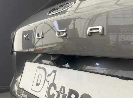 Ford - Kuga