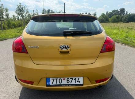 Kia - Cee'd